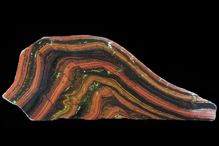 Polished Tiger Iron Stromatolite - ( Billion Years) #72898